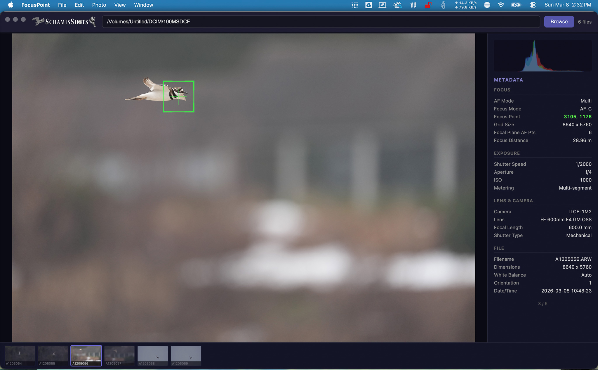 FocusPoint app showing focus point overlay on a wildlife photo